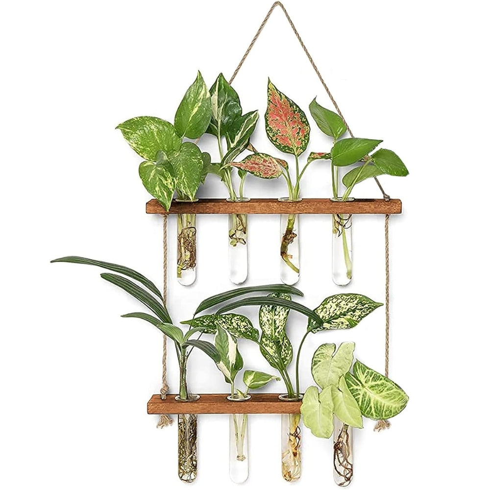 2 Layer Glass Wall Hanging Planter with Wooden Stand -  - #tag2#