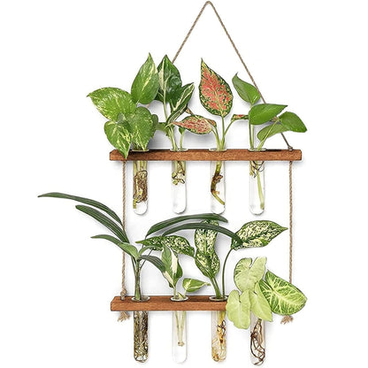 2 Layer Glass Wall Hanging Planter with Wooden Stand -  - #tag2#