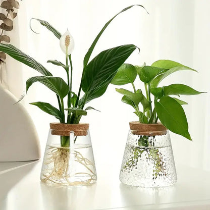 Hydroponic Plants Glass Flower Pots Home Decoration Transparent Small Vase Plant -  - #tag2#