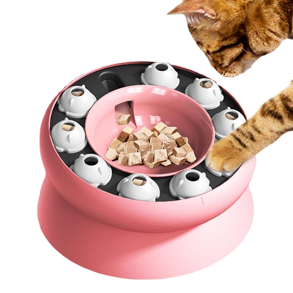 Slow Feeder Cat Bowl Cat Stomach Healthy Slanted Design Multifunction Pet Feed Bowl -  - #tag2#