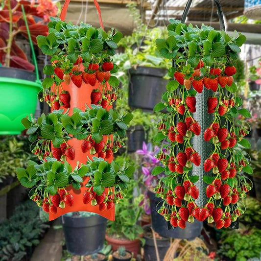 Hanging Strawberry Grow Bag Plant Grow Bags_0