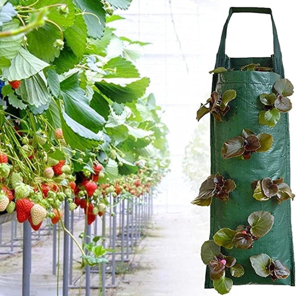 Hanging Strawberry Grow Bag Plant Grow Bags_3