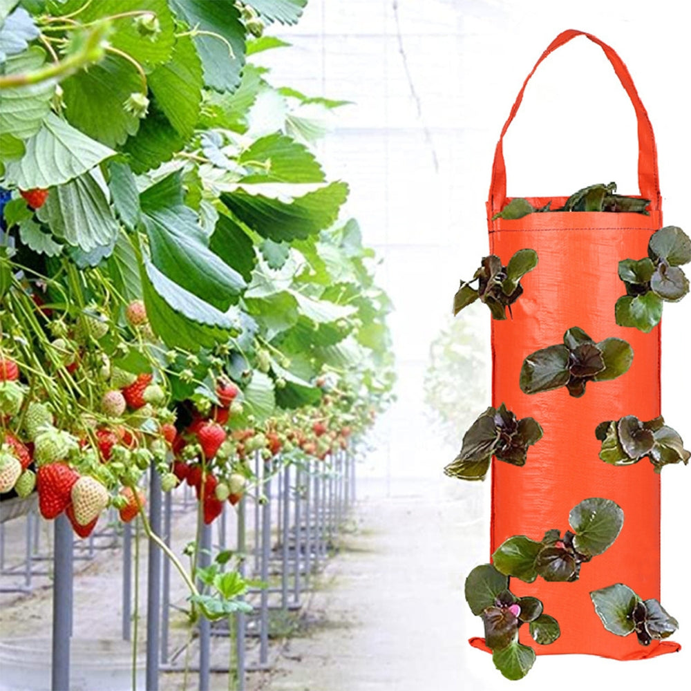 Hanging Strawberry Grow Bag Plant Grow Bags_4