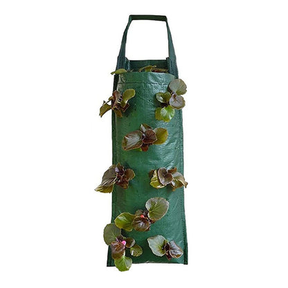 Hanging Strawberry Grow Bag Plant Grow Bags_6