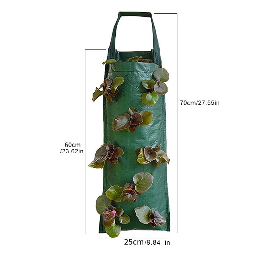 Hanging Strawberry Grow Bag Plant Grow Bags_8