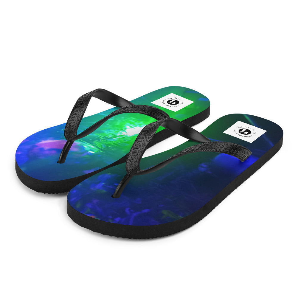 Flip-Flops -  - #tag2#