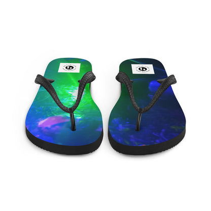 Flip-Flops -  - #tag2#