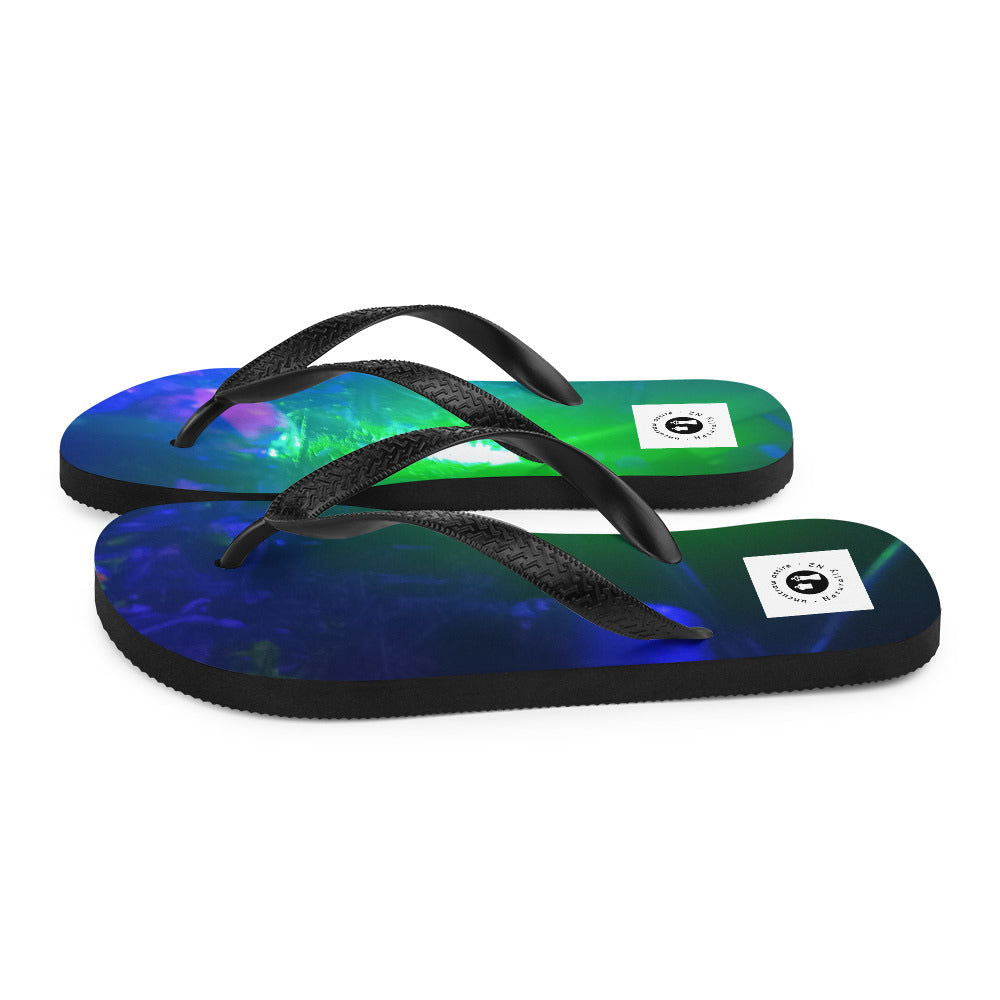 Flip-Flops -  - #tag2#