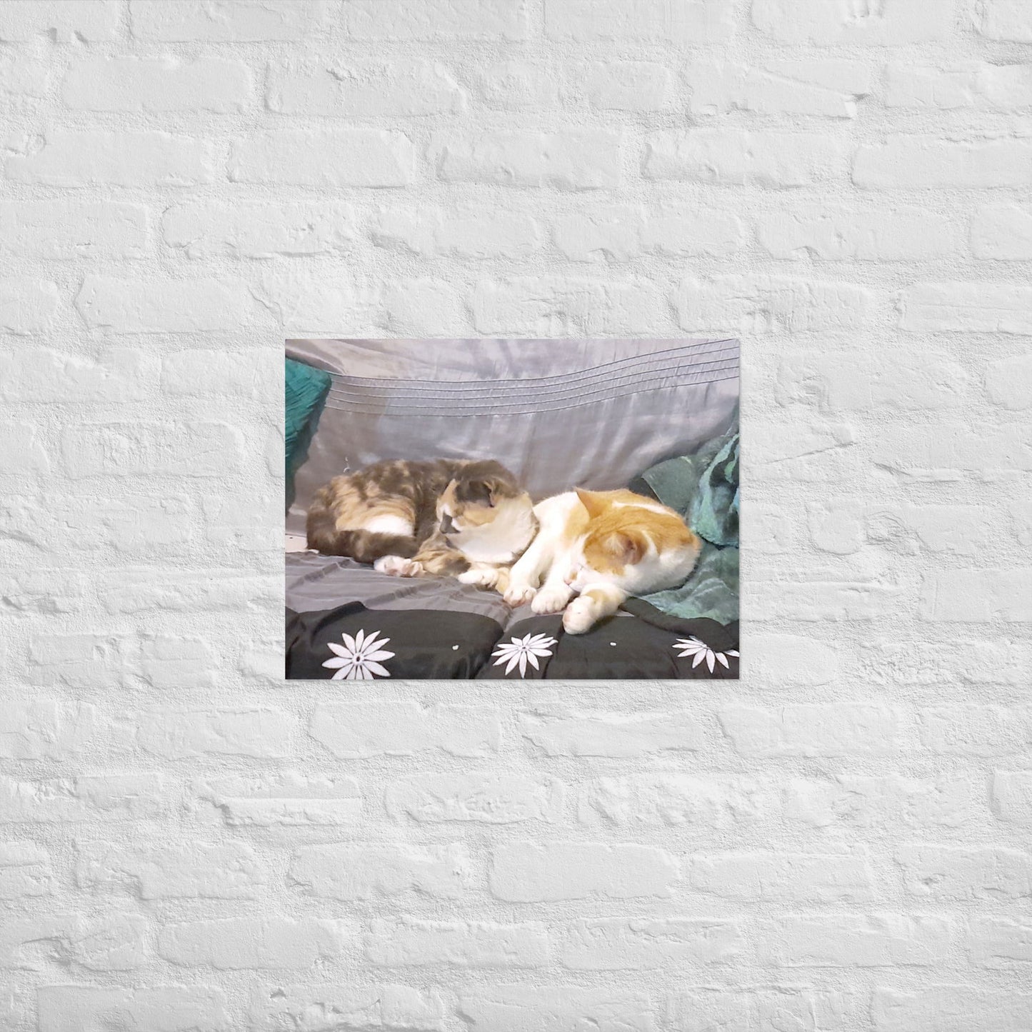 Poster - Cats Asleep - poster - #tag2#