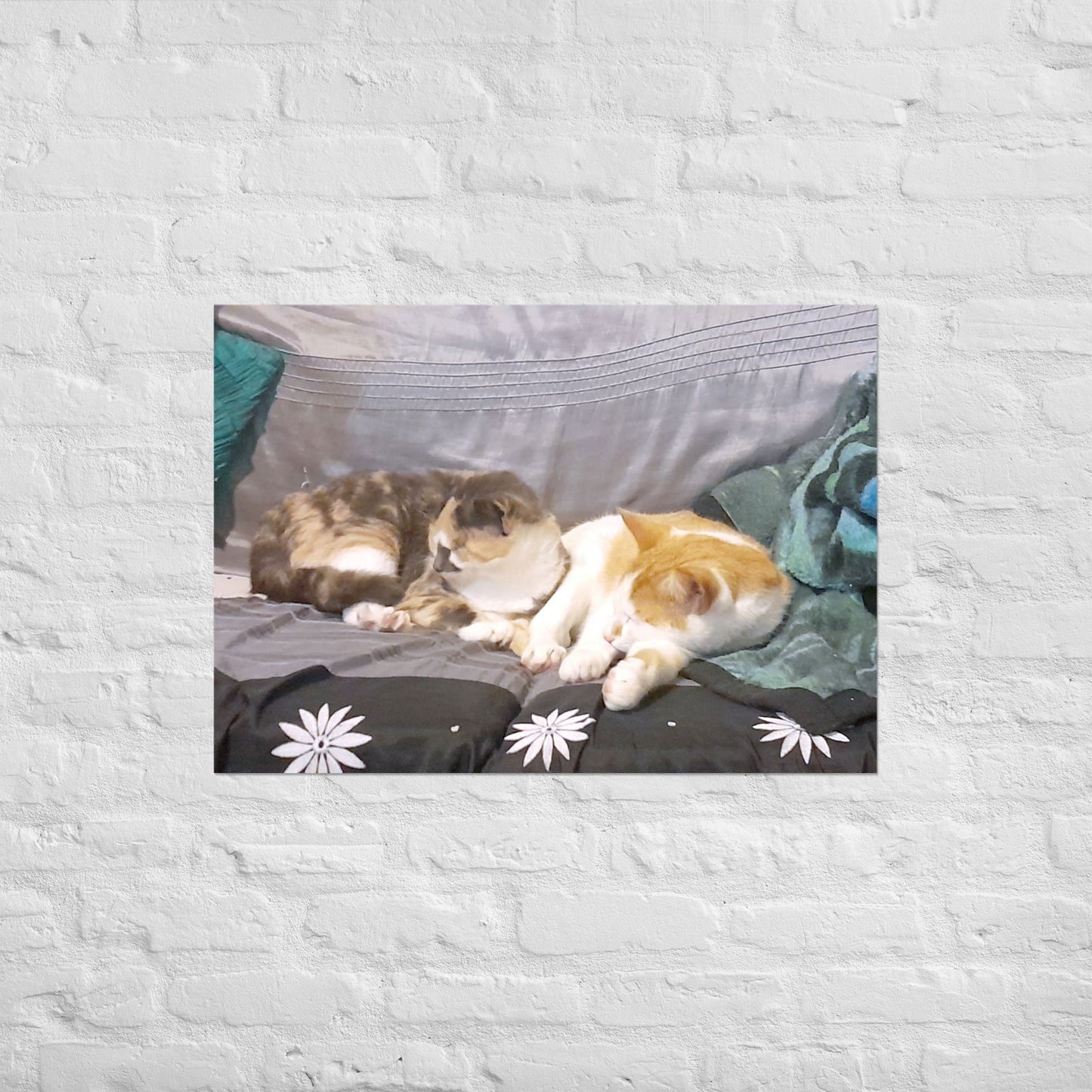 Poster - Cats Asleep -  - #tag2#