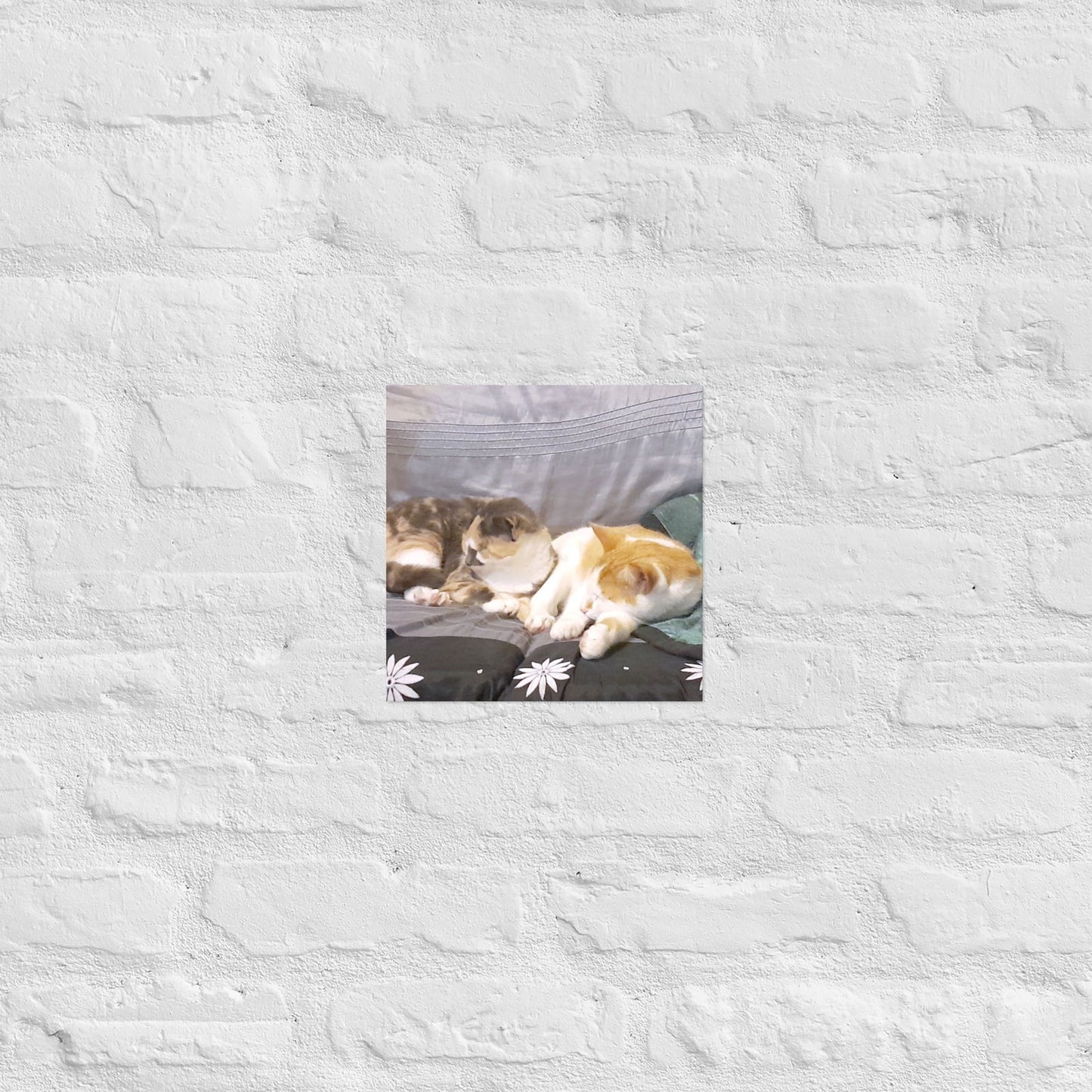 Poster - Cats Asleep -  - #tag2#