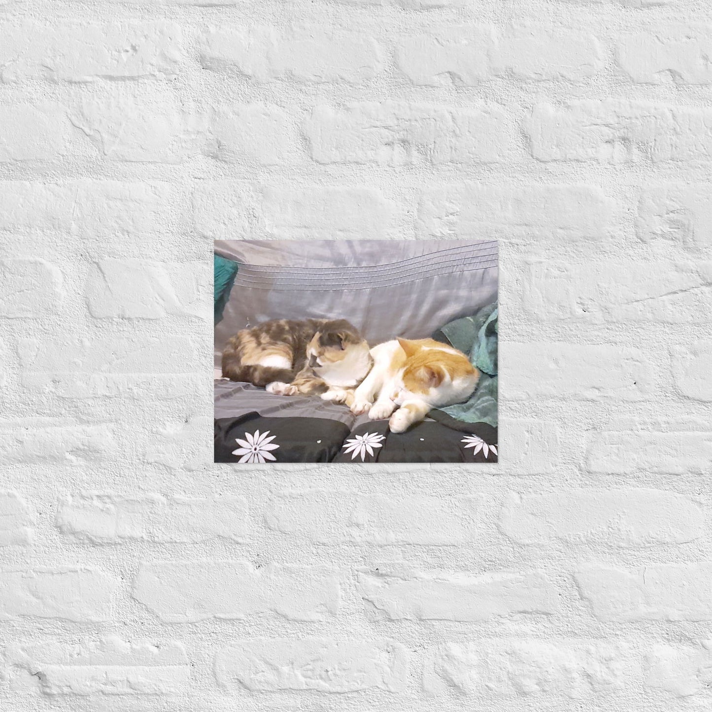 Poster - Cats Asleep -  - #tag2#