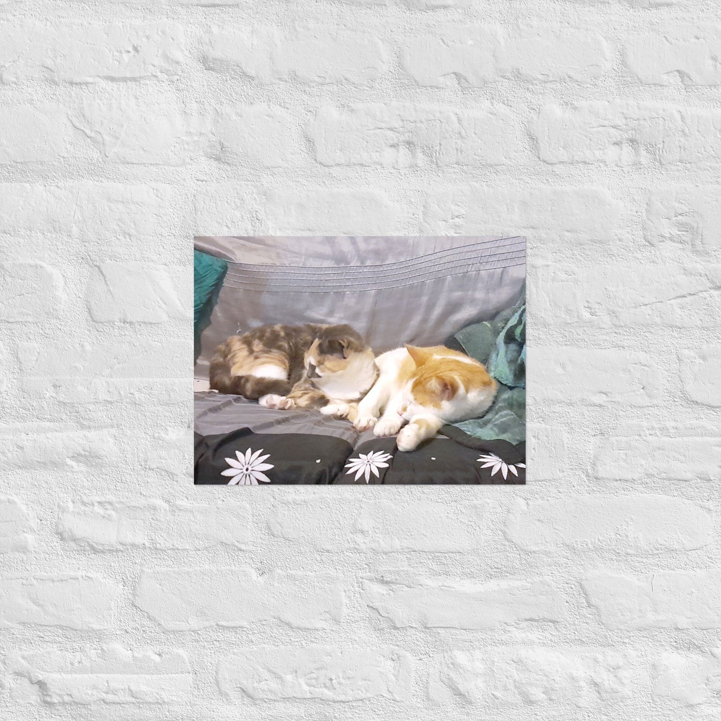 Poster - Cats Asleep -  - #tag2#