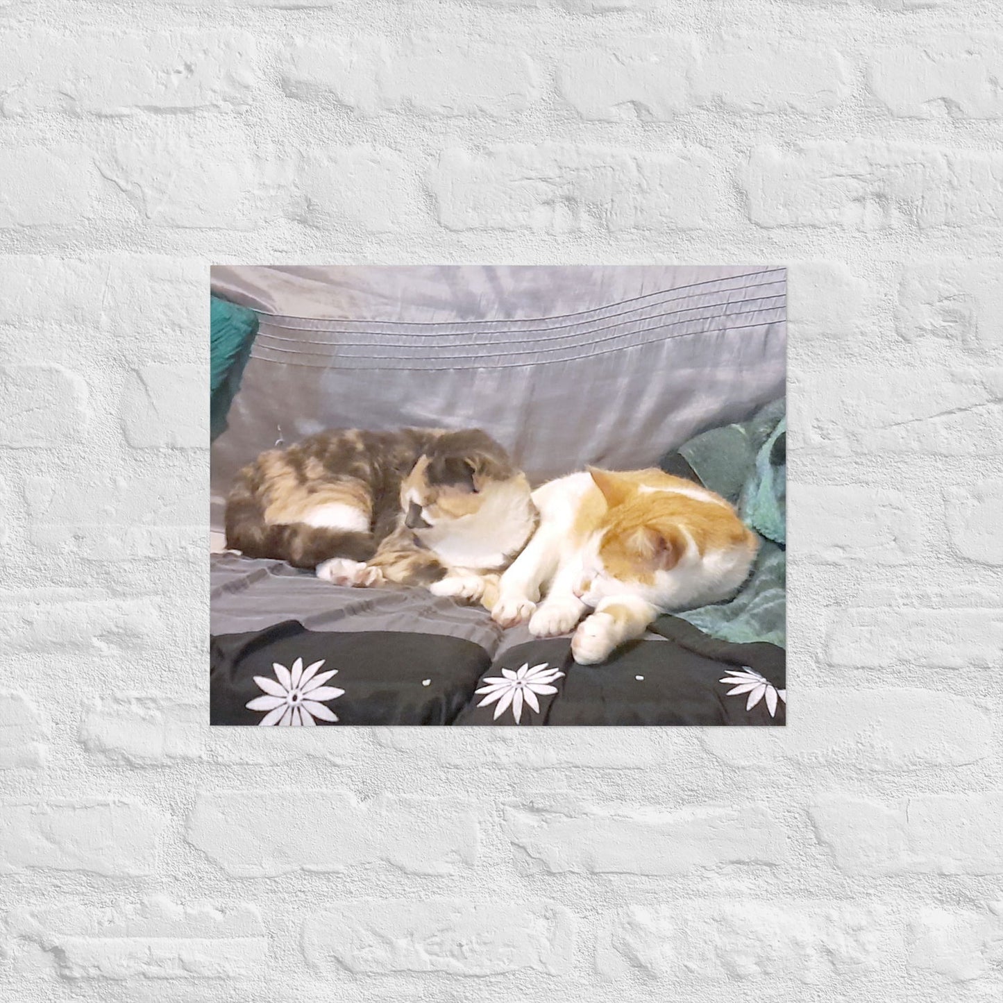 Poster - Cats Asleep -  - #tag2#