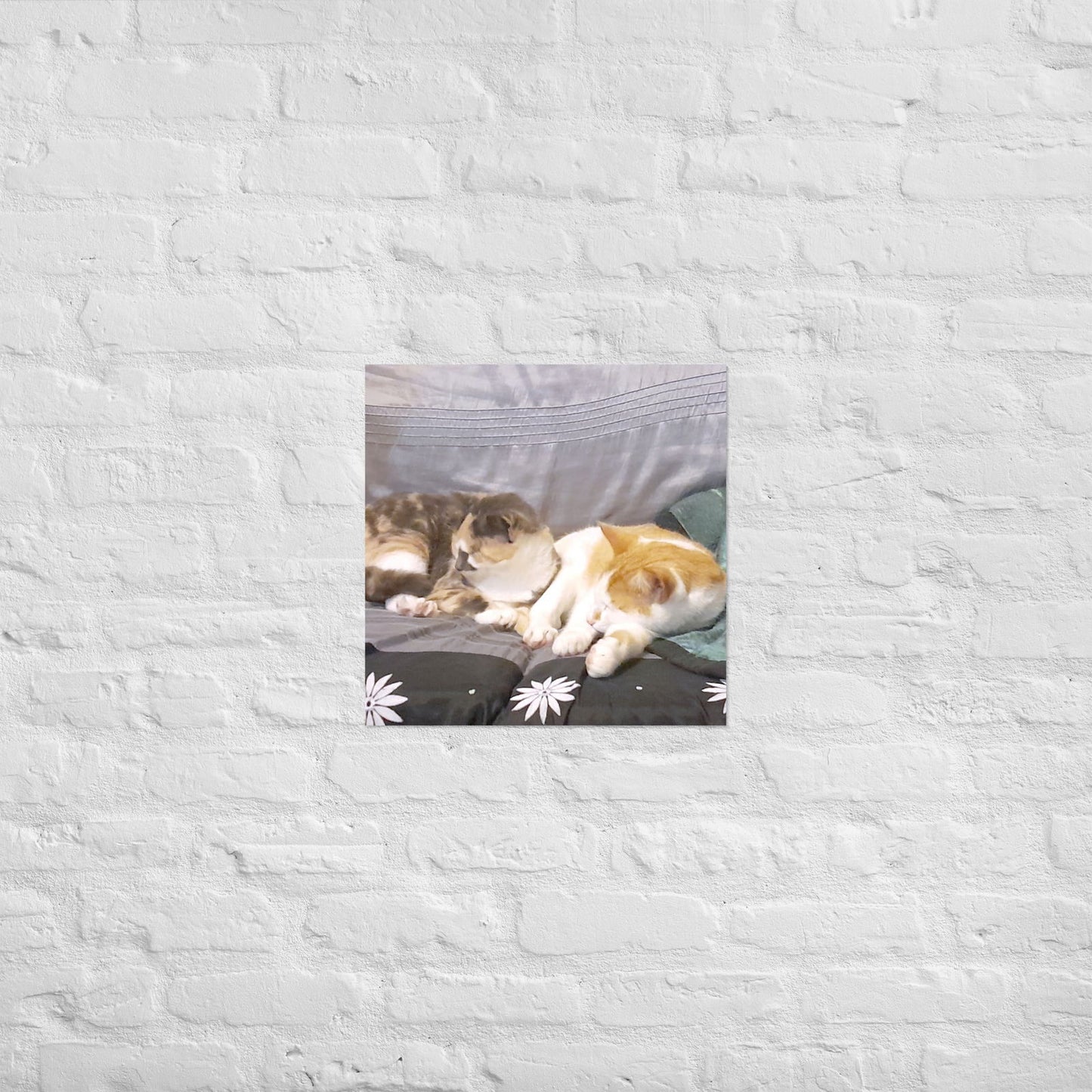 Poster - Cats Asleep -  - #tag2#