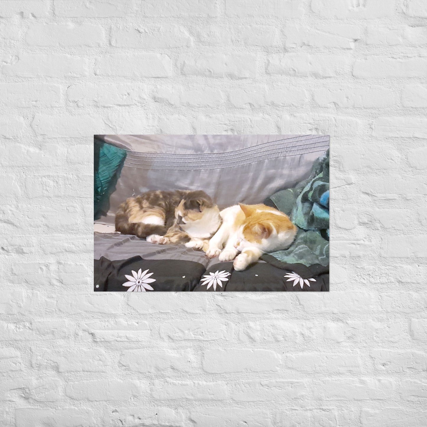 Poster - Cats Asleep -  - #tag2#