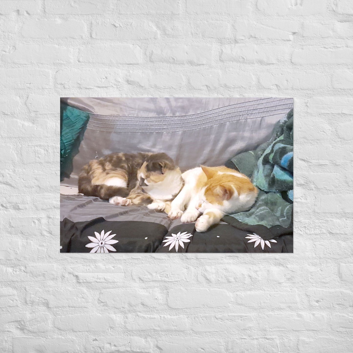 Poster - Cats Asleep -  - #tag2#