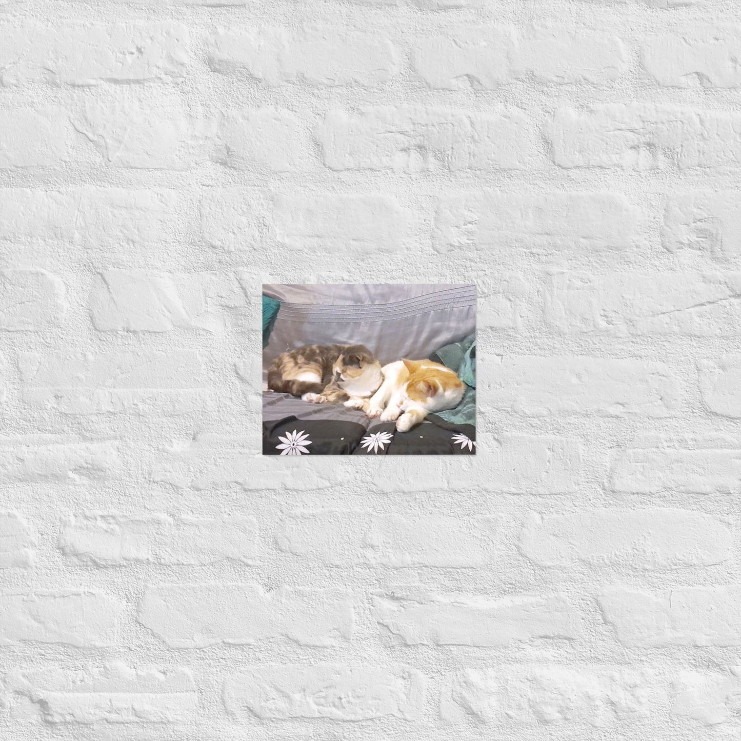 Poster - Cats Asleep -  - #tag2#