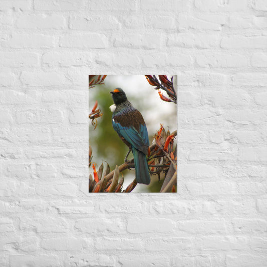 Poster - Tui on branch - poster - #tag2#