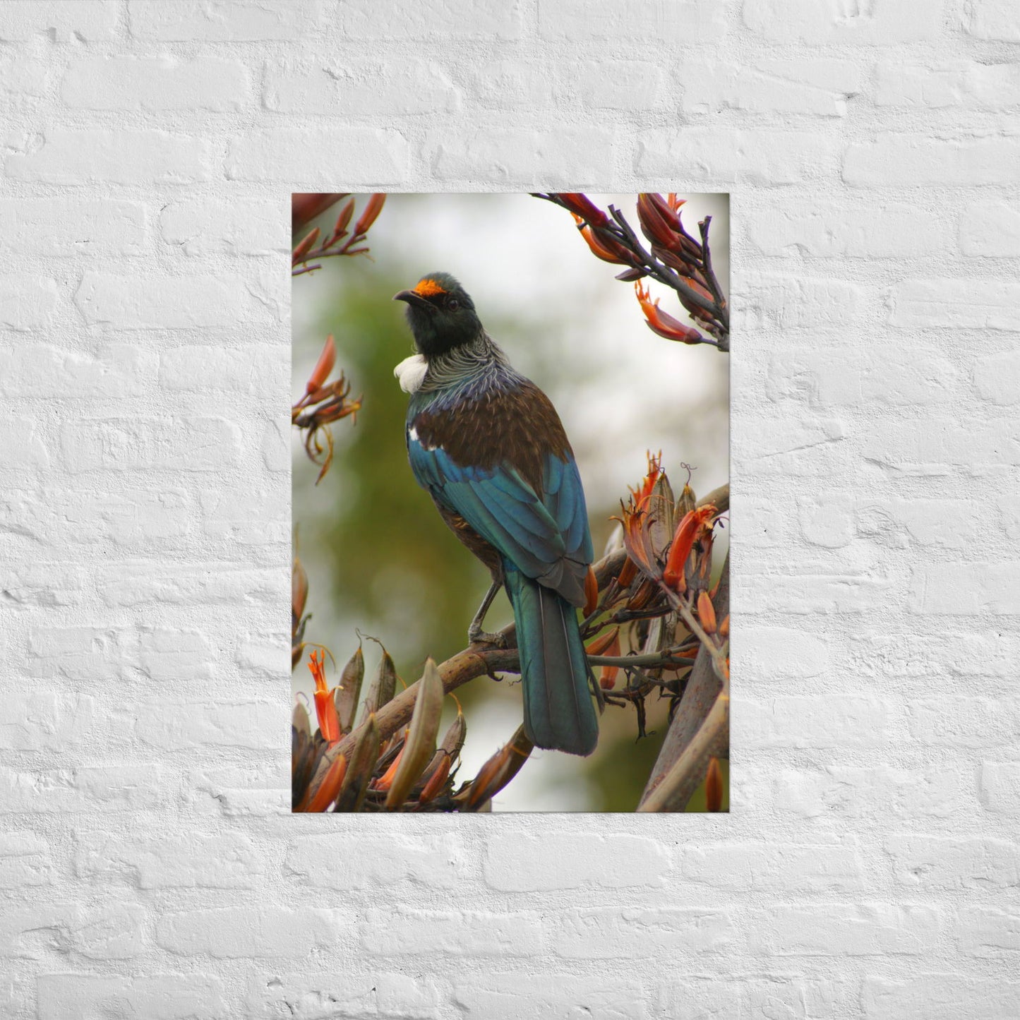 Poster - Tui on branch -  - #tag2#