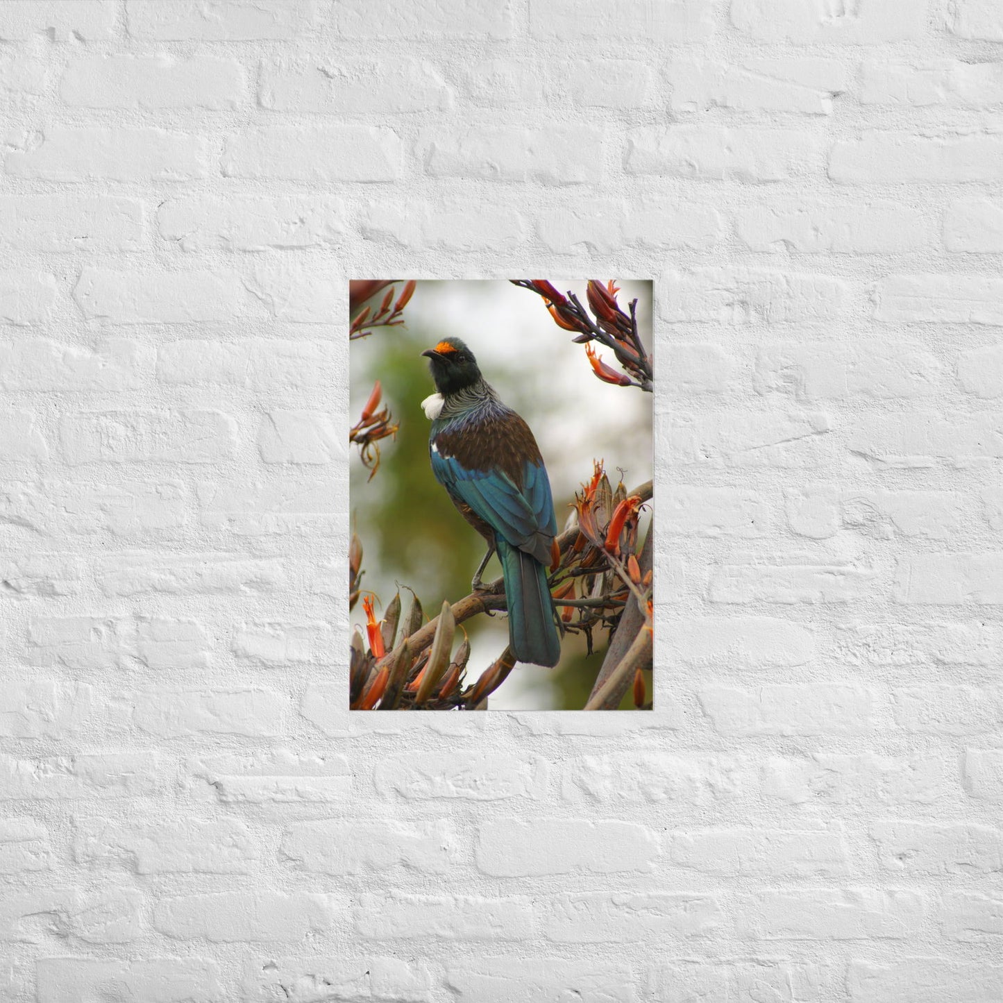 Poster - Tui on branch -  - #tag2#