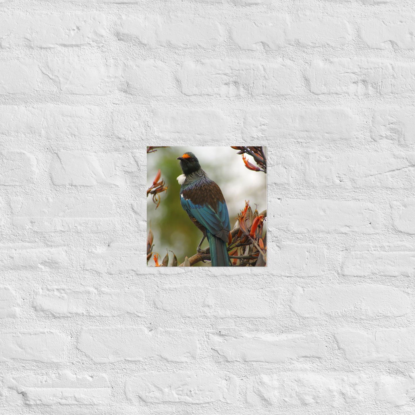 Poster - Tui on branch -  - #tag2#