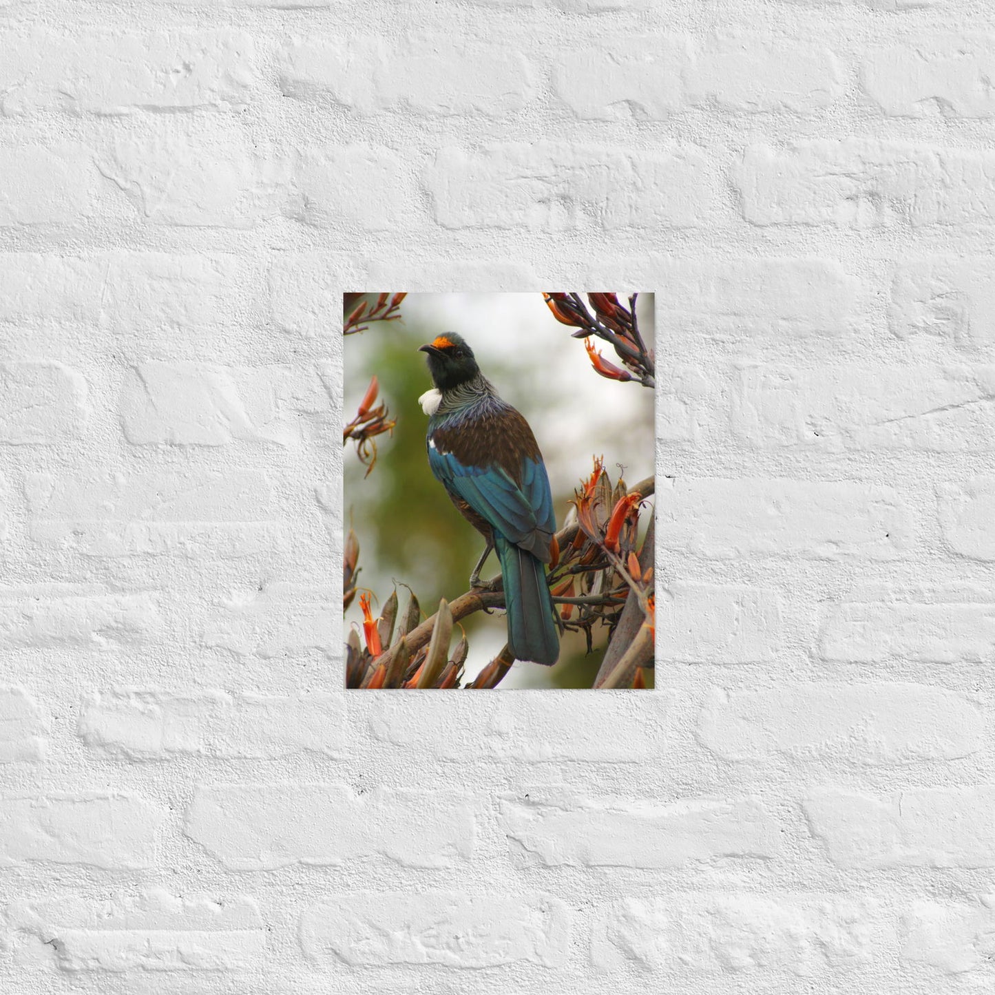 Poster - Tui on branch -  - #tag2#