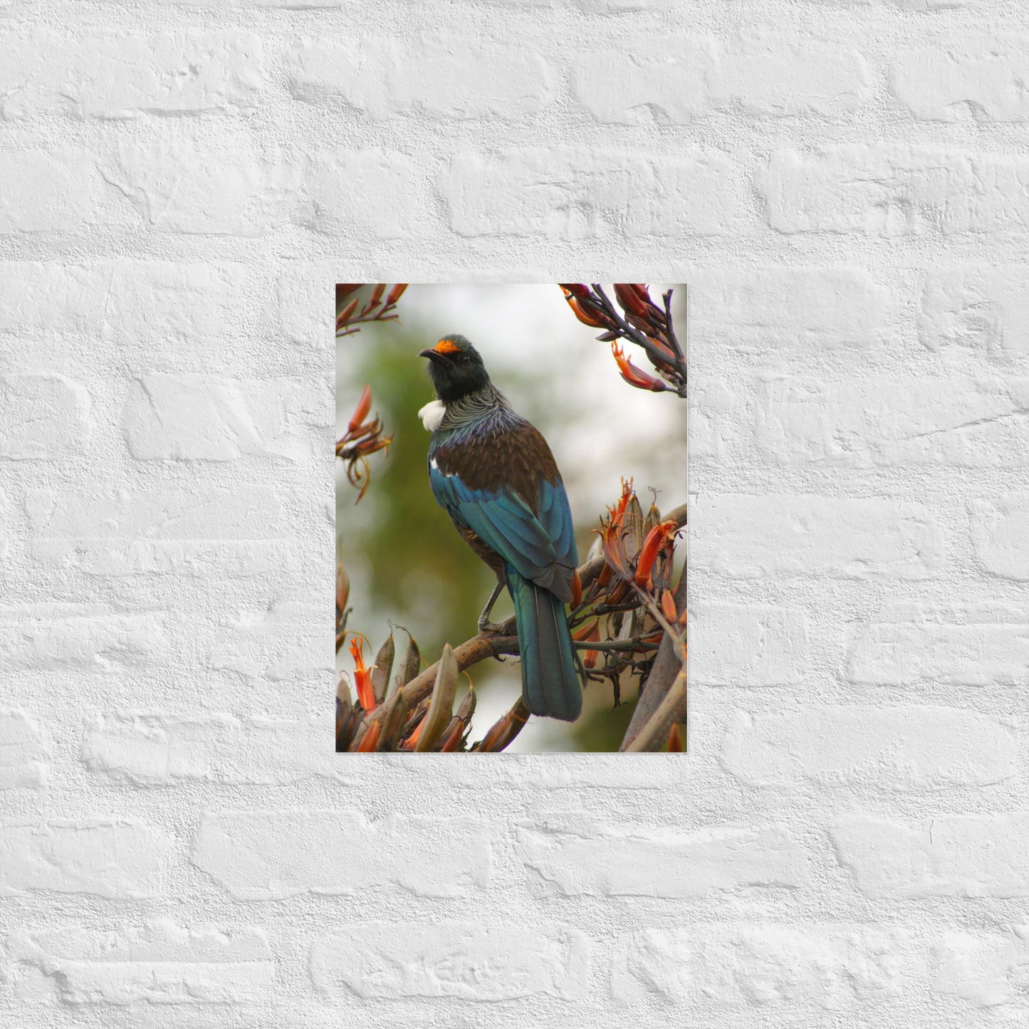 Poster - Tui on branch -  - #tag2#