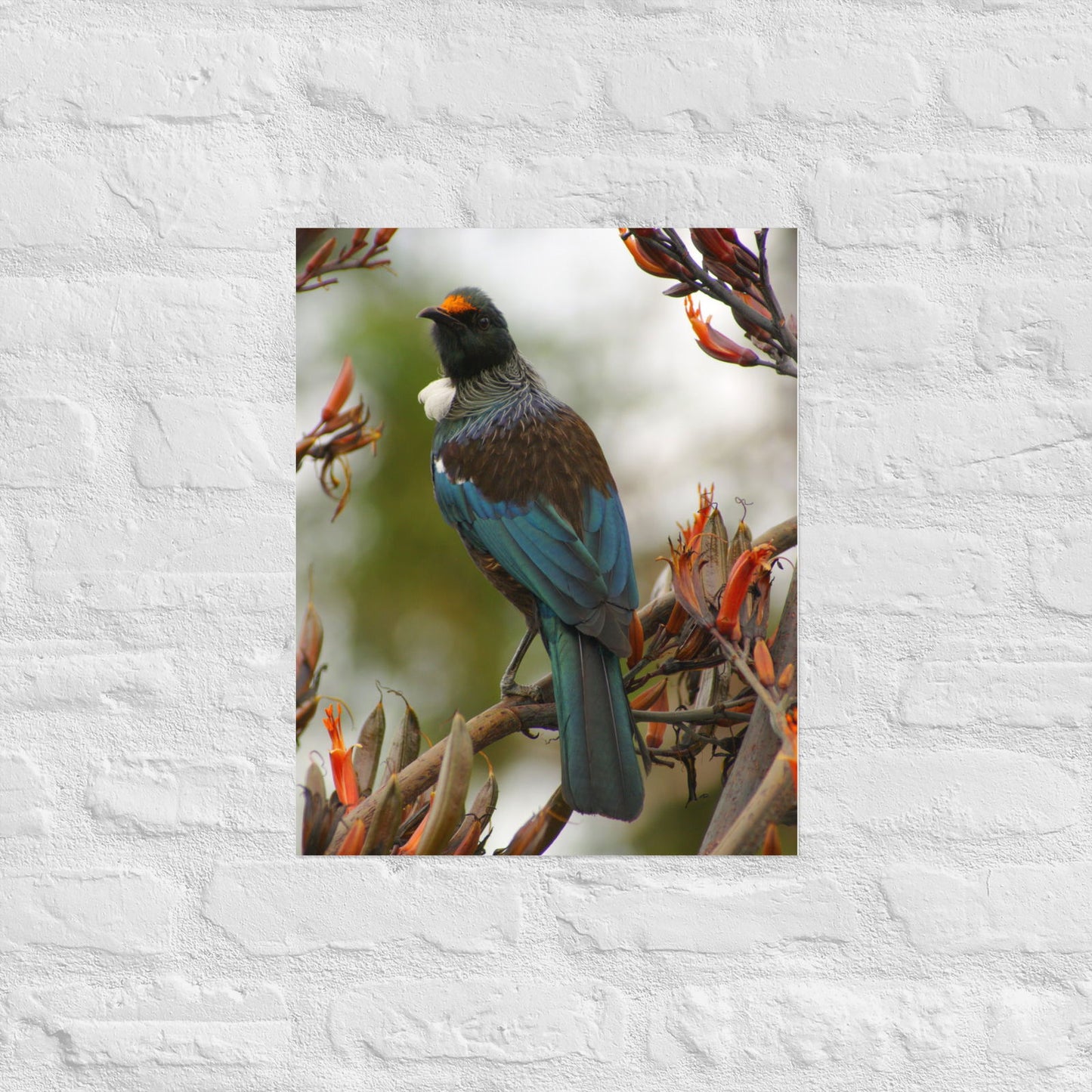 Poster - Tui on branch -  - #tag2#