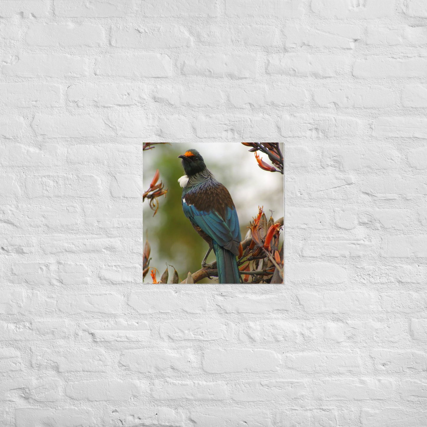 Poster - Tui on branch -  - #tag2#