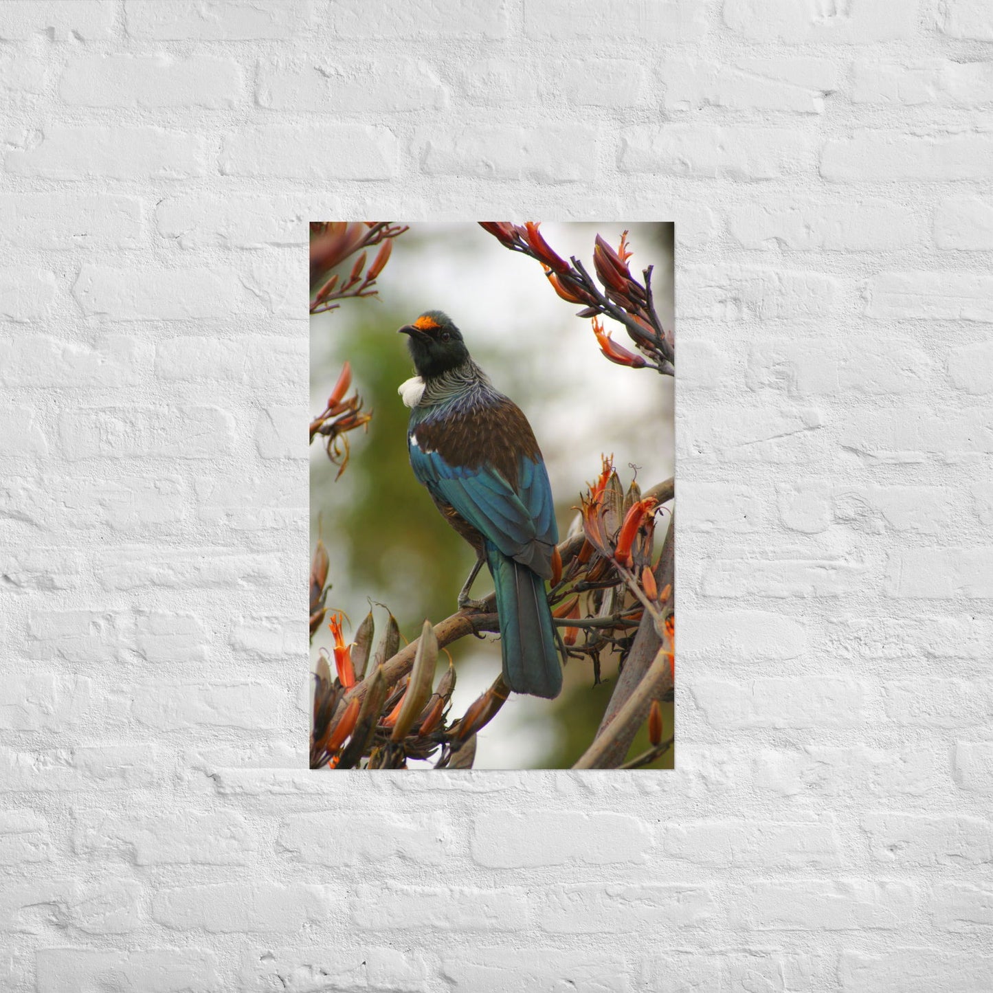 Poster - Tui on branch -  - #tag2#