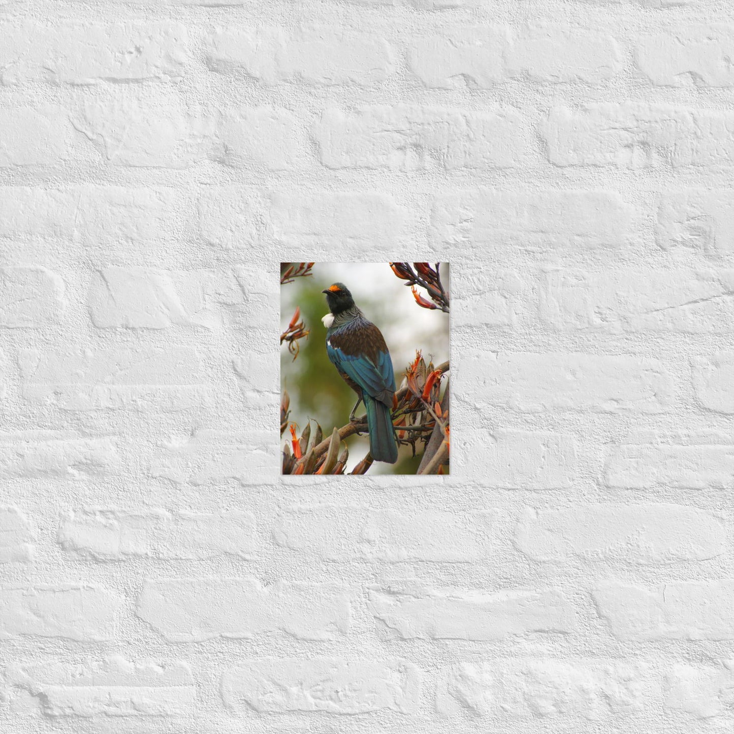 Poster - Tui on branch -  - #tag2#